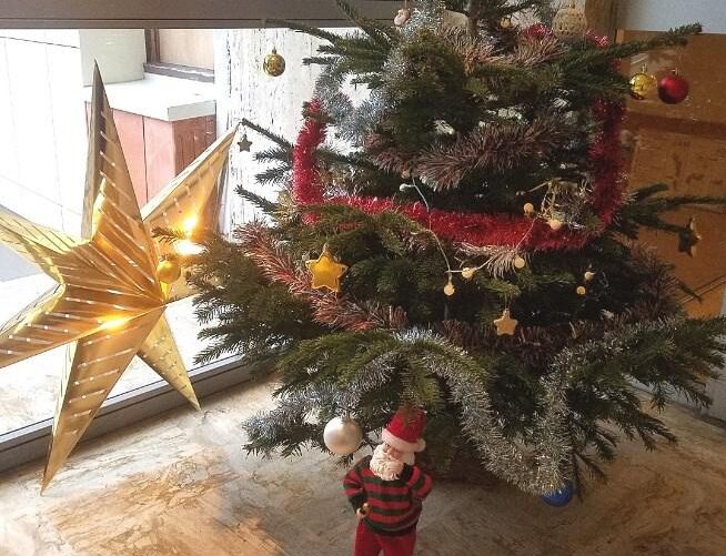 Mon beau sapin, roi des forêts